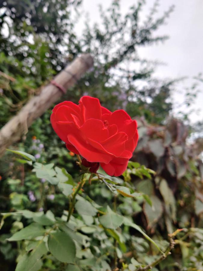 Westernghats Homestay Madikeri Bagian luar foto