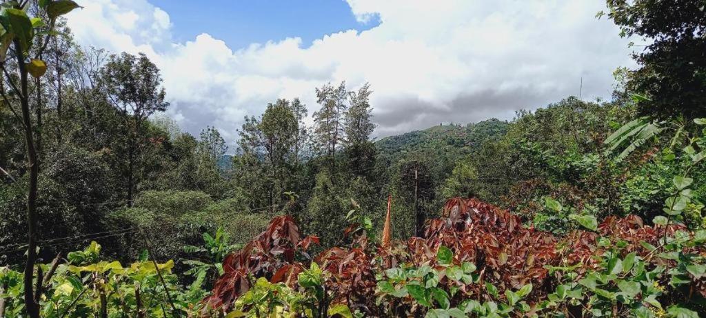 Westernghats Homestay Madikeri Bagian luar foto